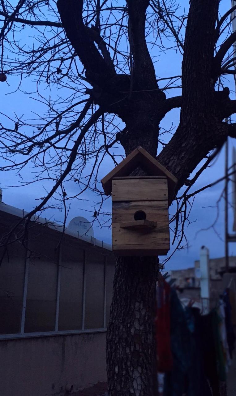 Birdhouse Rooms Tbilisi Bagian luar foto