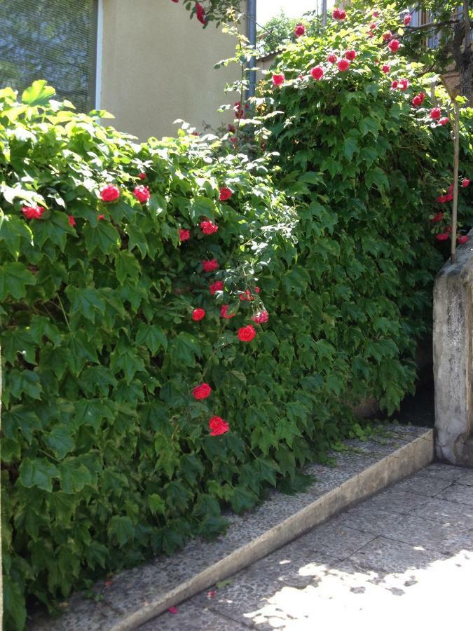 Birdhouse Rooms Tbilisi Bagian luar foto